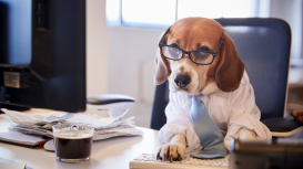 Descubre por qué muchas empresas eligen una oficina virtual como opción de trabajo. 