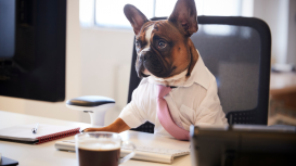 Destaca en tus reuniones con nuestras oficinas virtuales 