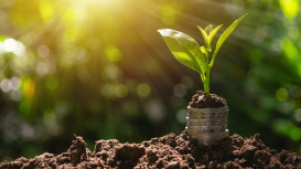 Supera tus inseguridades y lidera con determinación en tus presentaciones de negocio 